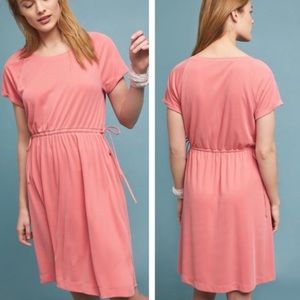 Anthropologie Waisted Rose Cupro Dress